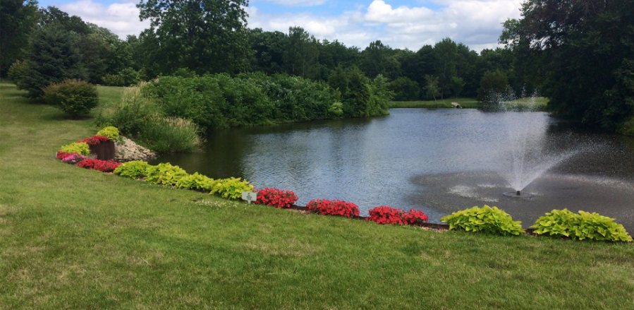 view of pond with flowers on golf course